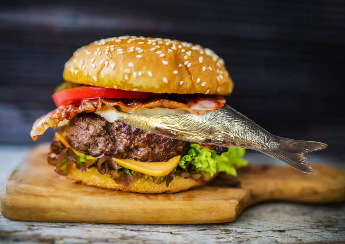 Il Panino San Simeone rinforzato con l'aringa